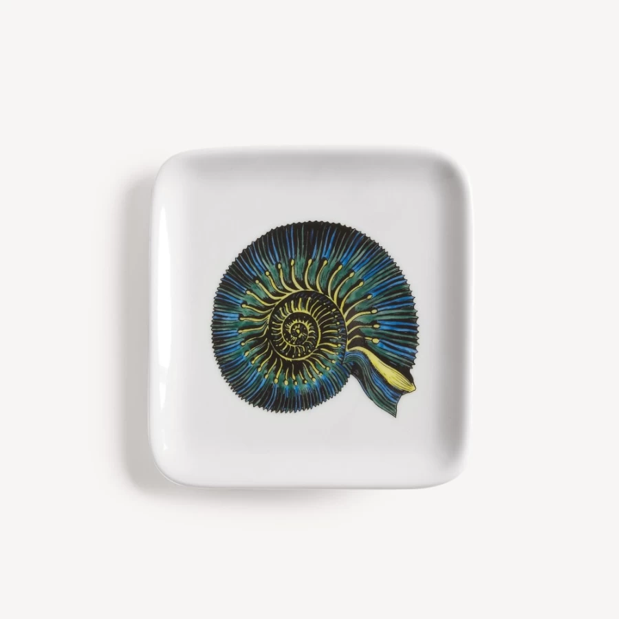 Fornasetti Multicolour Conchiglia Fossile Ashtray - Collector's Design Piece