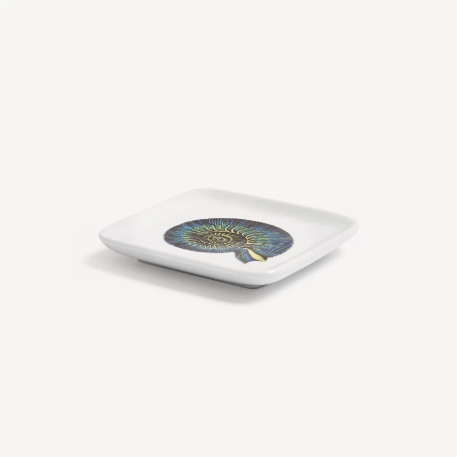 Fornasetti Multicolour Conchiglia Fossile Ashtray - Collector's Design Piece