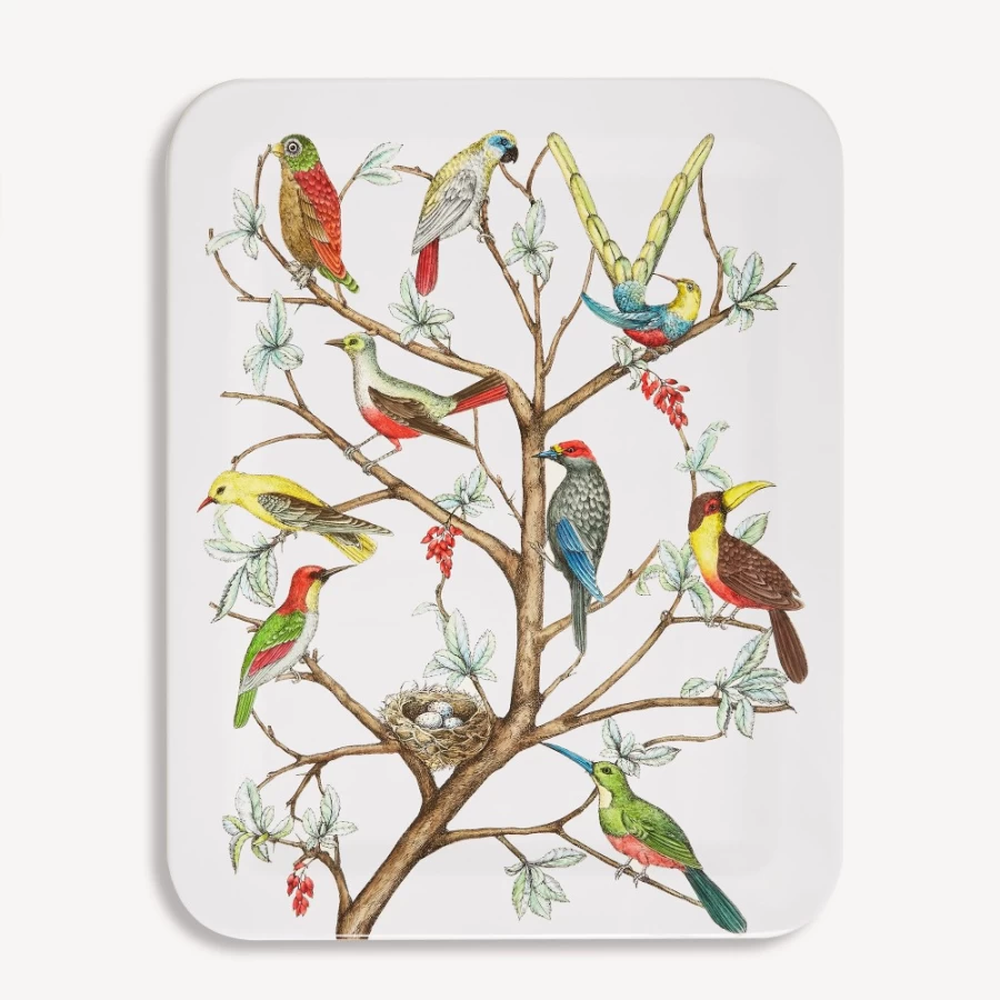 Fornasetti Multicolour Uccelli Decorative Tray - Hand-Painted Italian Design