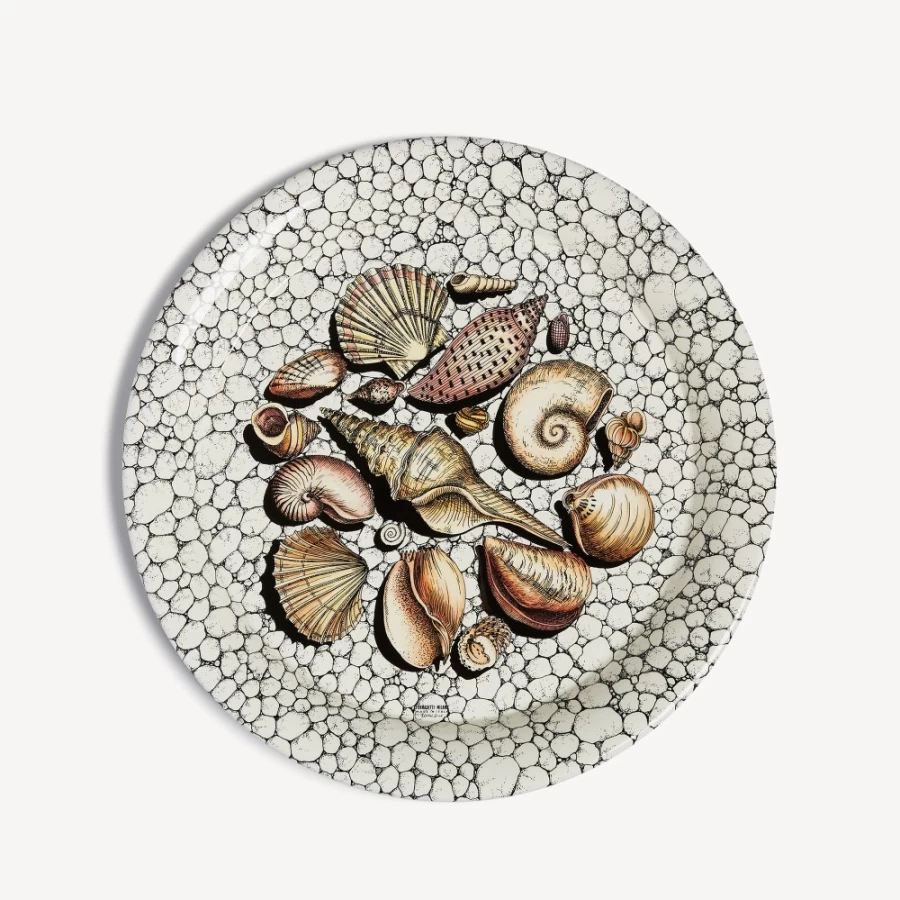 Fornasetti Multicolour Conchiglie and Ciotoli Decorative Tray