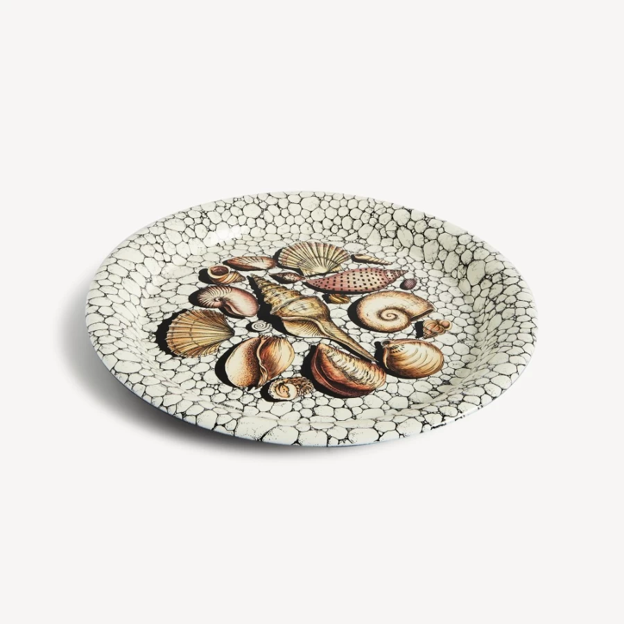 Fornasetti Multicolour Conchiglie and Ciotoli Decorative Tray