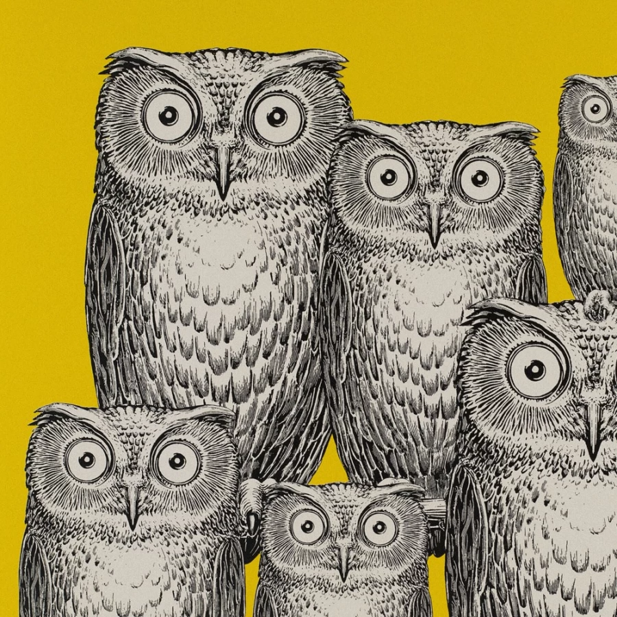 Fornasetti Yellow and Black Owl Design Panel Riunione Di Civette Decorative Art Piece