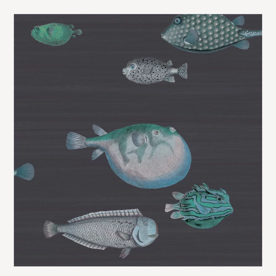 Fornasetti Acquario Ink Wallpaper - Premium Designer Wall Covering