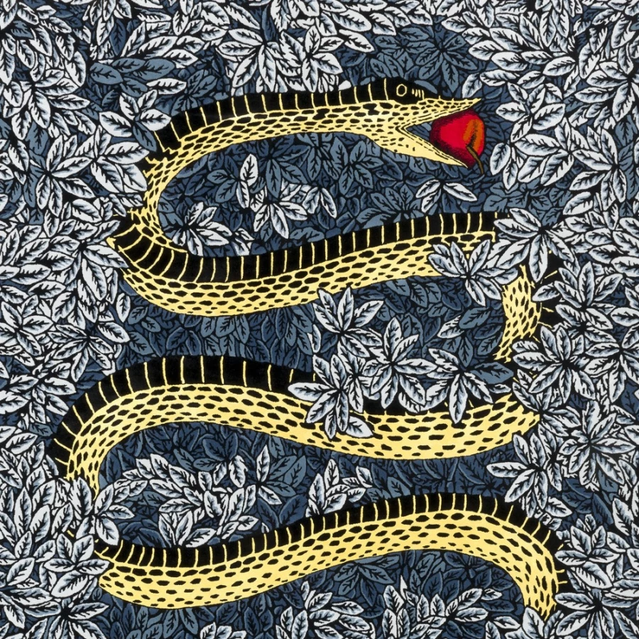 Fornasetti Rug Peccato Originale Multicolour Designer Rug for Luxury Home Decor