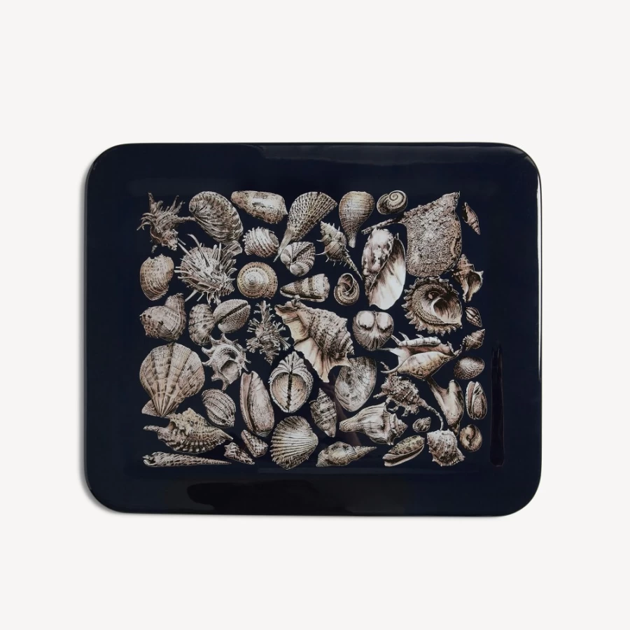Fornasetti Conchiglie Tray in White, Black, and Blue - Decorative Shell-Shaped Tray