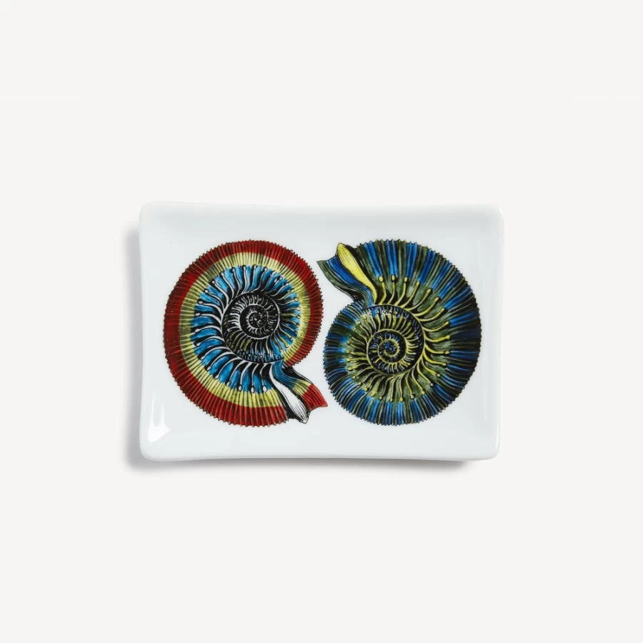 Fornasetti Multicolour Rectangular Ashtray Giro Di Conchiglie Design