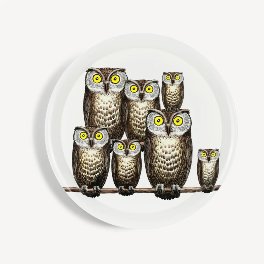 Fornasetti Multicolour Tray Civette Decorative Collectible Tray