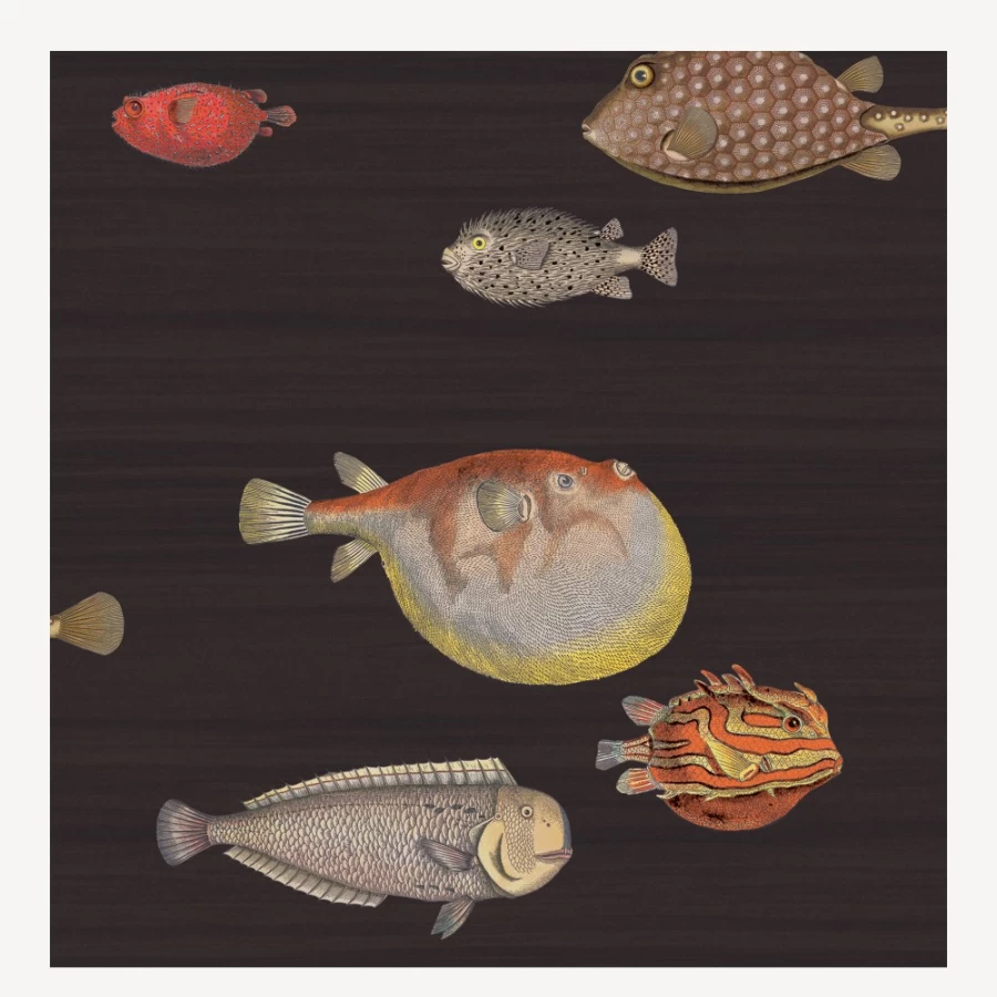 Fornasetti Soot Wallpaper Acquario - Premium Designer Wall Mural for Luxury Interiors