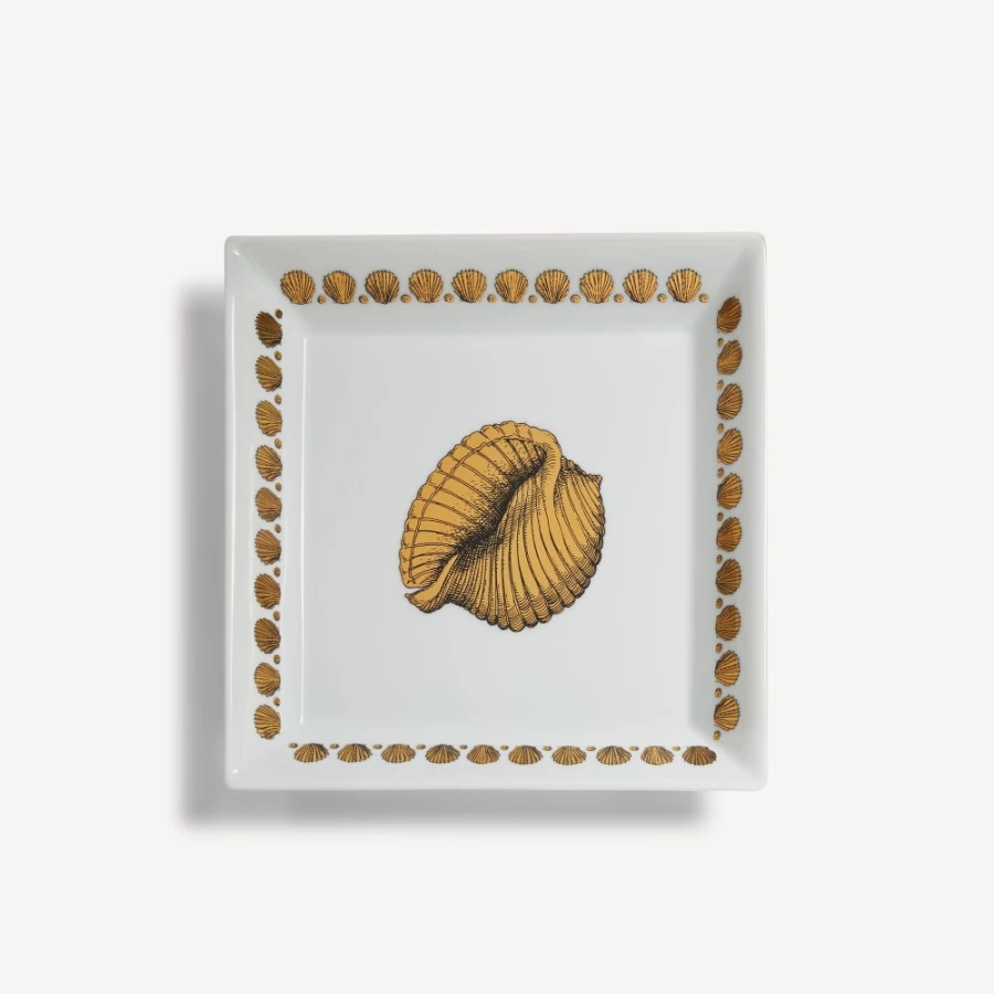 Fornasetti Giro Di Conchiglie Square Plate in White, Black, and Gold