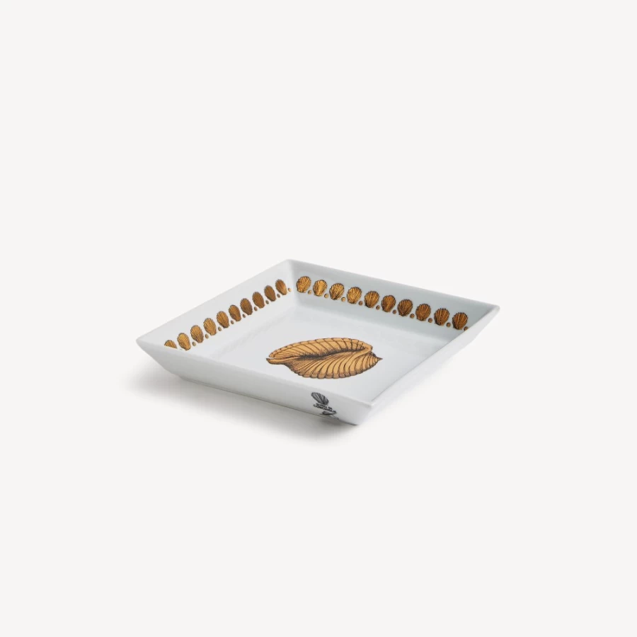 Fornasetti Giro Di Conchiglie Square Plate in White, Black, and Gold